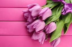 						Вітаємо всіх жінок зі святом весни і краси!
						